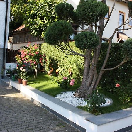 Ferienwohnung Im Gruenen Gossweinstein Εξωτερικό φωτογραφία